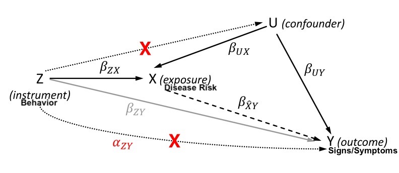 Conceptual Model